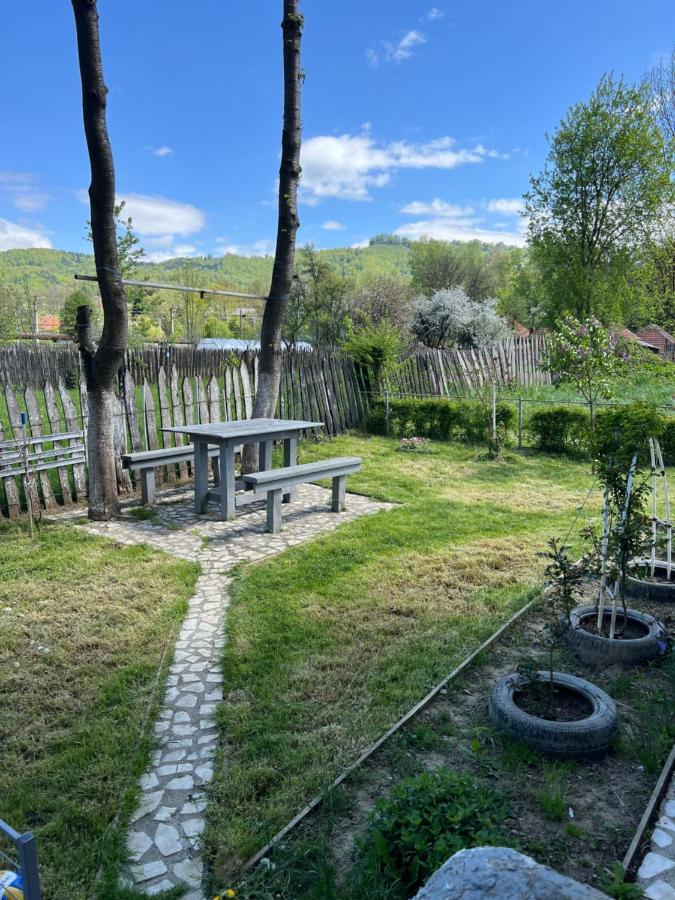 Green Garden Petrosani Exterior photo